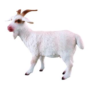 【88212公山羊】CollectA官方授权正版动物模型早教玩具