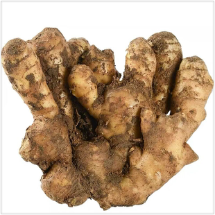 山东大姜优质生姜老姜新鲜大黄姜精品带泥生姜块老生姜老黄姜包邮