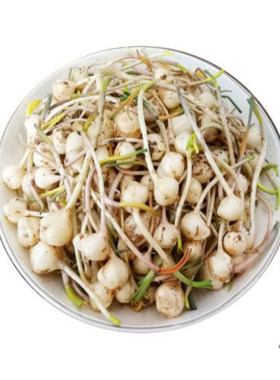 野葱薤白山蒜茭头阳台盆栽种子