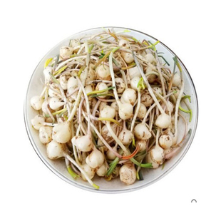 小根蒜野蒜种子种苗野葱薤白山蒜苦茭头新鲜野生阳台盆栽四季播