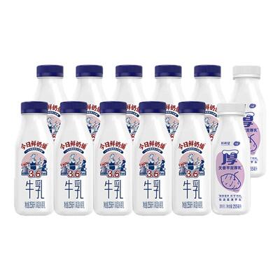 新希望今日鲜奶铺牛乳255ml*10+芋泥厚乳255ml*2瓶装低温早餐奶