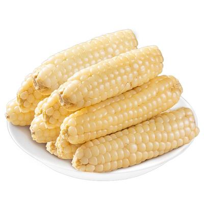 新鲜现摘西双版纳香糯拇指小玉米