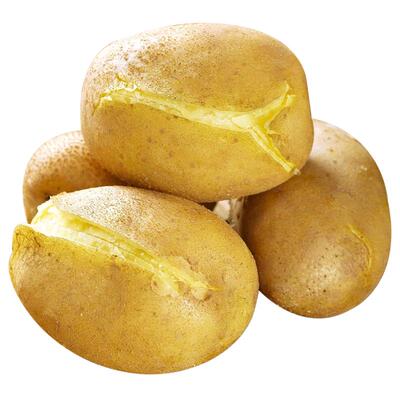 定西沙面软糯大土豆现挖现发