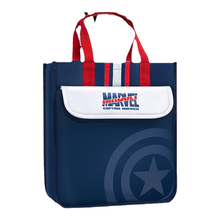 Disney迪士尼手提袋学生拎书袋小学生作业补习袋帆布美术袋男女孩课外补习班辅导班书包轻便学习袋收纳装书袋