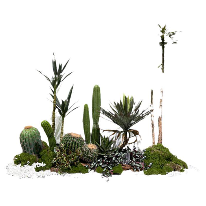仿真假绿植仙人掌造景热带沙漠风楼梯下角落植物景观露营风装饰摆