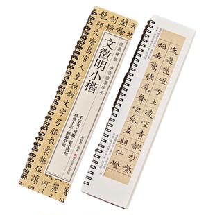 文徵明小楷千字文琴赋草堂十志醉翁亭记文征明硬笔毛笔书法字帖 书法成人学生初学入门 经典碑帖全文原大版墨迹本近距离临摹字卡