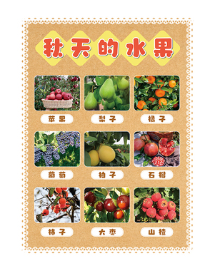 幼儿园秋天主题环创材料装饰贴纸