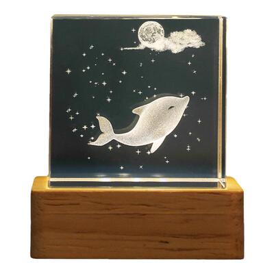 发光方体水晶小摆件海洋生物夜灯