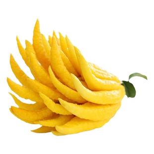 金华佛手果新鲜佛手柑佛手瓜绿果黄果摆放闻香观赏清供佛现摘现发