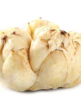 2026宜兴新鲜百合5斤2500g包邮特产级苦味纯农家食用大白合3斤2斤