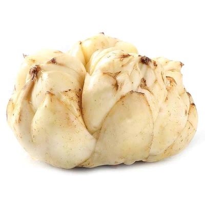 2025宜兴新鲜百合5斤2500g包邮特产级苦味纯农家食用大白合3斤2斤