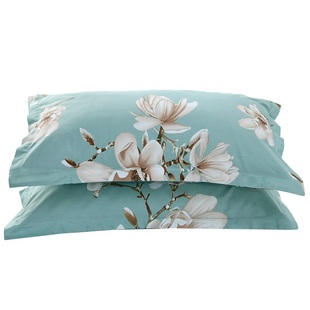 枕头套单人两只装一对100%纯棉全棉成人枕皮74X48厘米大尺寸家用