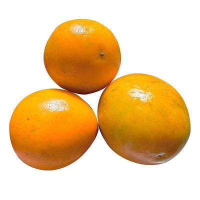 【超S+级】融安脆蜜金柑顺丰包邮