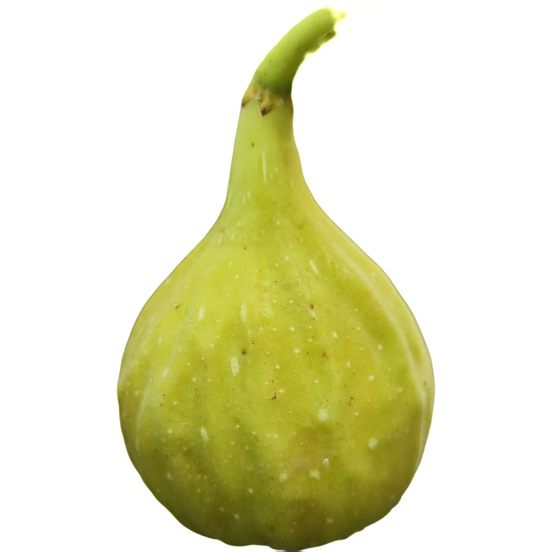 芭劳奈无花果无农药儿童孕妇水果