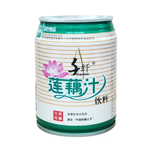 扬州宝应特产千纤莲藕汁饮品正宗鲜藕生榨果蔬汁饮料10罐装礼盒