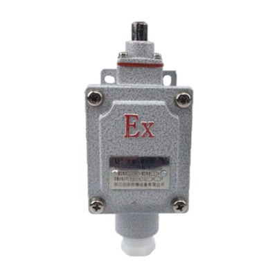 lx5防爆限位脚踏单双臂开关