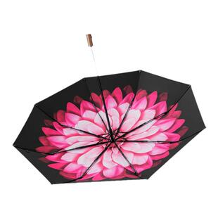 蕉下太阳伞双层小黑胶防紫外线两用遮阳伞大花伞折叠晴雨伞遮阳伞