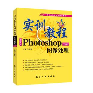 Photoshop图像处理实训教程CS3版王雁南 零基础自学ps修图广告海报制作教程从入门到精通书籍 送配套素材课件