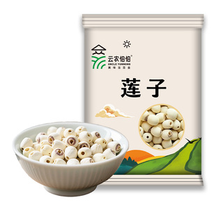 莲子干货去芯新货磨皮白莲粉糯大粒搭配银耳百合煮粥煲汤