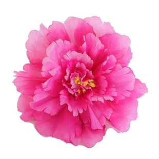 成长在祖国的怀抱里道具牡丹花表演手拿花幼儿童跳舞表演演出手花