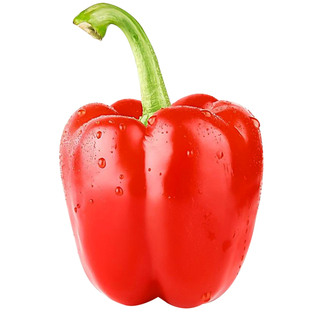 彩色红甜椒辣椒种子种籽苗彩椒菜苗蔬菜秧苗四季秧灯笼椒菜椒幼苗