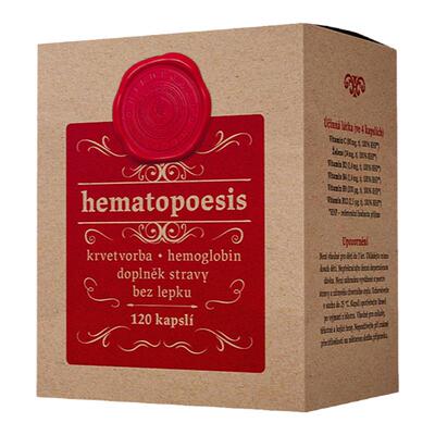 捷克造血胶囊补铁养气血