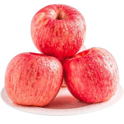 顺丰次日达！圣诞平安果红富士