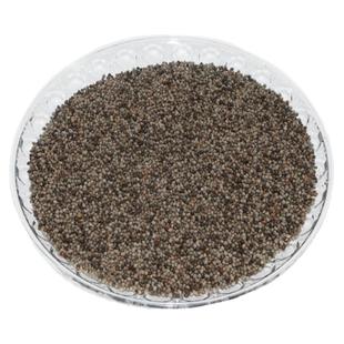 贵州酥麻籽精选2斤油性苏子农家种生酥麻黑苏麻引子 好苏麻籽