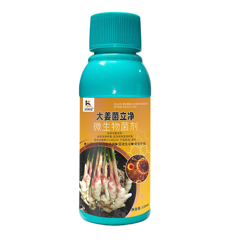 沃柯易生姜菌立净提高种苗成活率