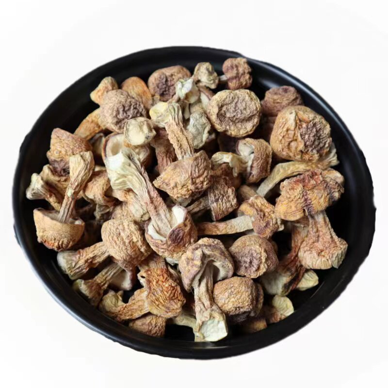 姬松茸干货250g无熏硫
