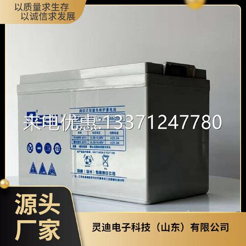 风帆蓄电池12V100AH储能铅酸免维护6GFM100直流屏UPS设备机房用