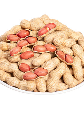 原味卤味花生小珍珠品种
