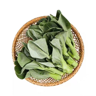 新鲜霜冻苏州青菜苔 白菜菜薹 嫩菜心青菜菜芯 现摘油菜菜苔5斤装