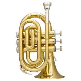 津宝手掌号便携式初学演奏者降B调袖珍短号铜管乐器JBMT-500新品