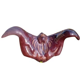 老菱角种子苗水生植物蔬菜四季果实种植青菱角种子苗红菱角苗种子