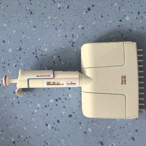 Thermo Scientific FINPIPEPTE议价