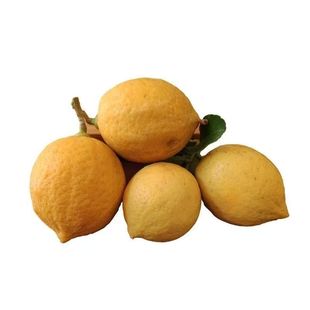 广东香水黄柠檬黄皮柠檬新鲜果园直发当季奶茶店商用