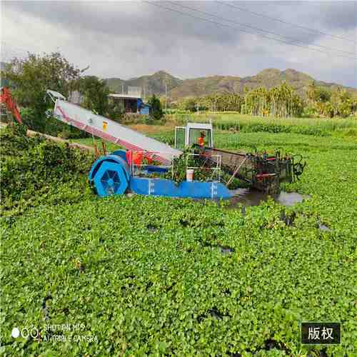 山东水域割草船水花生芦苇水草收割船全自动水面水草清理打捞船