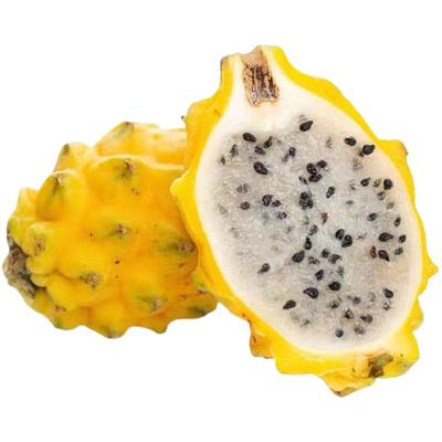 官方原产地海南燕窝果