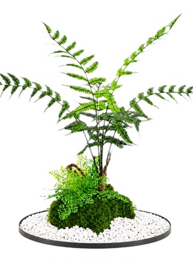 仿真蕨类植物把束景观装饰假草橱窗楼梯下高级感禅意造景搭配配草