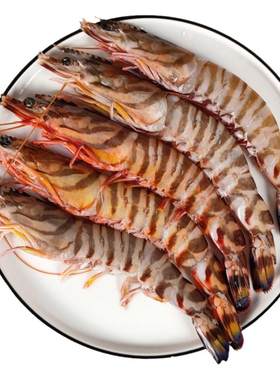 新鲜特大竹节虾600g10-12个