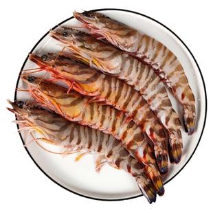 新鲜特大竹节虾鲜活冷冻超大九节虾花龙虾东海舟山海鲜水产年夜饭