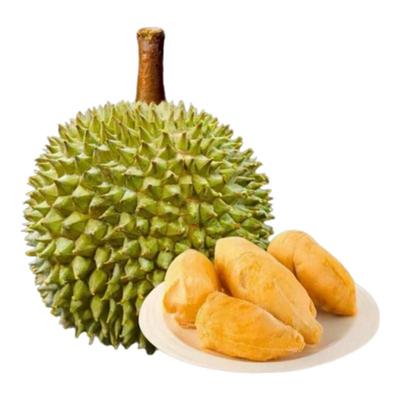 帝一榴猫山王榴莲整果D197 液氮冷冻正宗马来西亚进口顺丰包邮