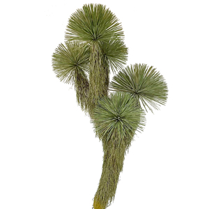 特丽卉仿真稻草人绿植景观树