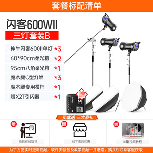godox神牛闪客600WII二代摄影灯闪光灯摄影棚拍照灯内置X1高速1