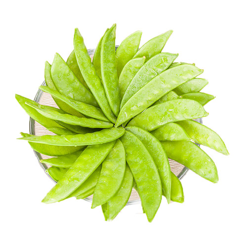 大荚荷兰豆种子软荚菜豌豆甜脆豌豆仁籽春夏秋季农家菜园蔬菜种孑