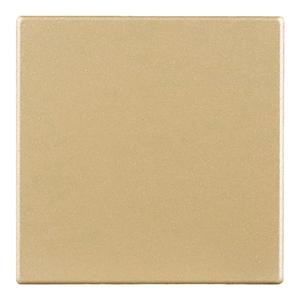 开关插座空白面板遮盖墙面洞口线盒盖板神器挡板遮丑盖门铃装饰盖