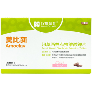 汉维宠仕莫比新阿莫西林消炎犬猫感冒狗咳嗽宠物专用药宠立维头孢
