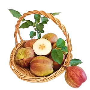 陕西彩虹梨稀有水果梨子 *3斤