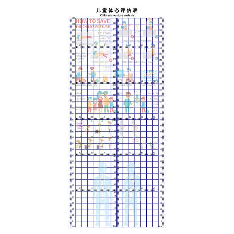 青少年儿童体态评估表身高站姿体测表幼儿形体评估图儿童体态矫正